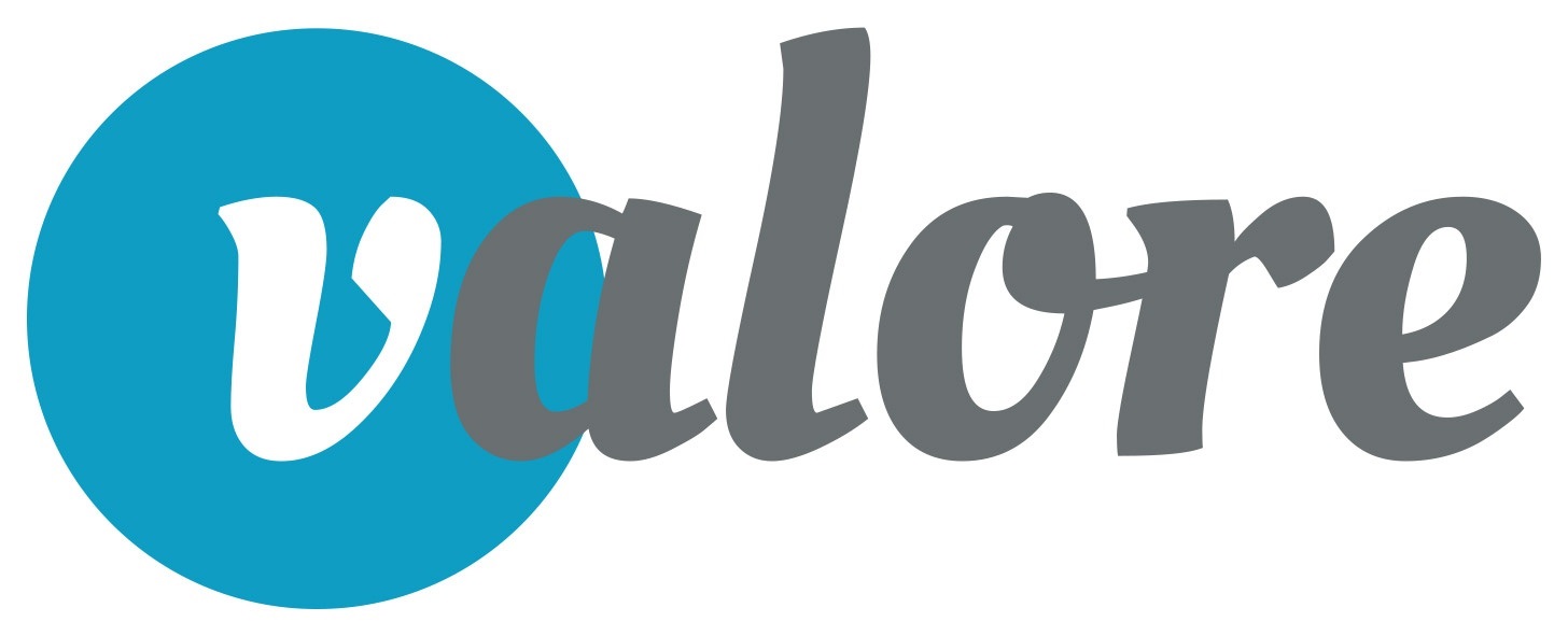 Valore Opleiding Training Advies
